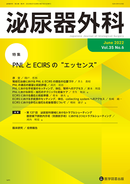 泌尿器外科　2022年6月号（Vol.35 No.6）【特集】PNL と ECIRS の“エッセンス”