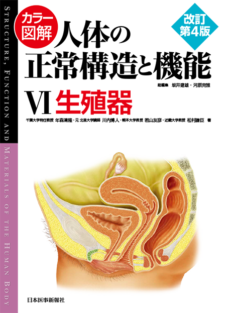 カラー図解 人体の正常構造と機能 第6巻 生殖器 第4版
