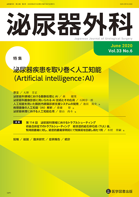 泌尿器外科　2020年6月号（Vol.33 No.6）【特集】泌尿器疾患を取り巻く人工知能（Artificial intelligence：AI）