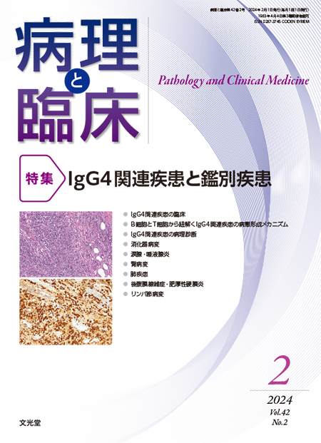 病理と臨床  2024年2月号（42巻2号）IgG4関連疾患と鑑別疾患