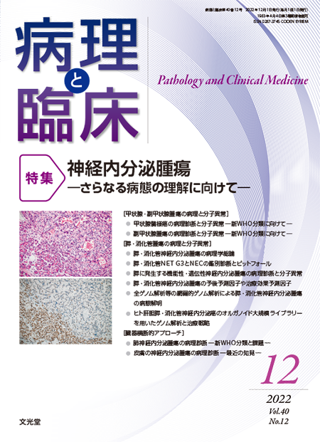 病理と臨床 2022年12月号（40巻12号） 神経内分泌腫瘍～さらなる病態の理解に向けて