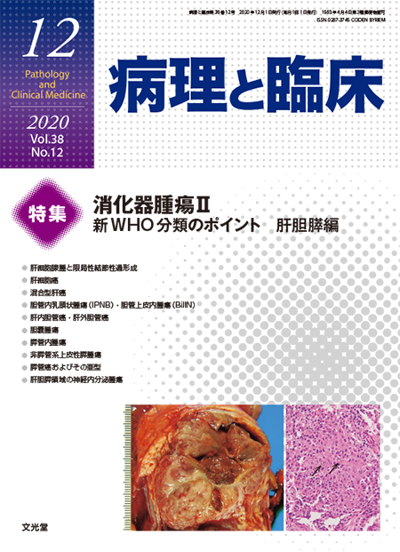 病理と臨床  2020年12月号（38巻12号） 消化器腫瘍Ⅱ~新WHO分類のポイント 肝胆膵編