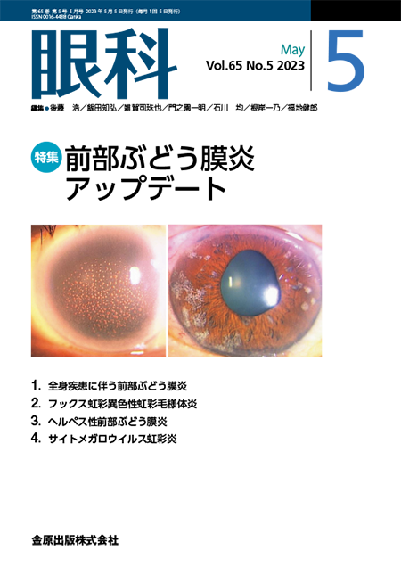 M2PLUS | 眼科 2018年9月号 60巻9号 特集 糖尿病網膜症の最新情報を