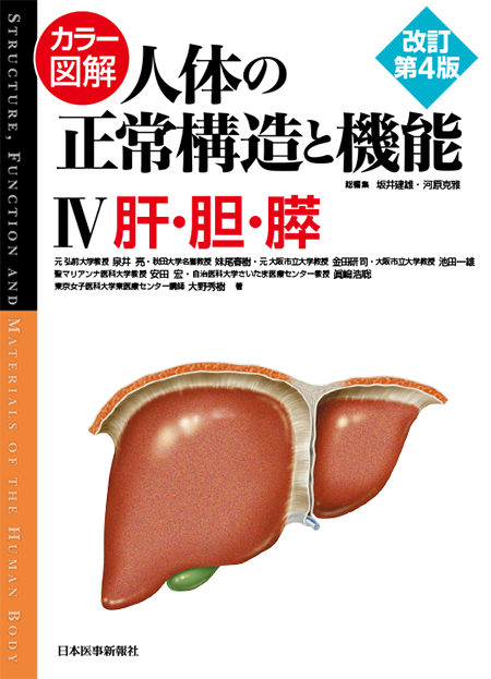 カラー図解 人体の正常構造と機能 第4巻 肝・胆・膵 第4版