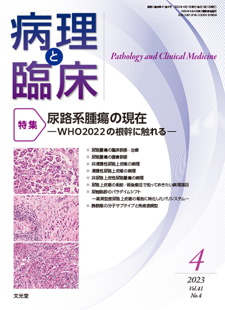 病理と臨床  2023年4月号（41巻4号）尿路系腫瘍の現在～WHO2022の根幹に触れる
