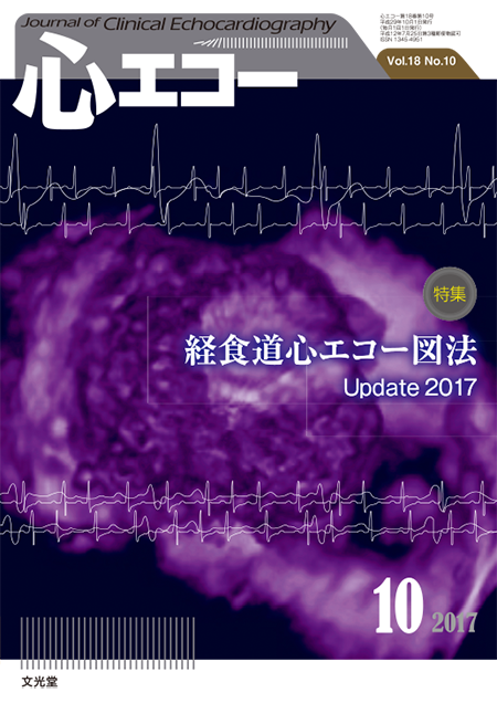心エコー 2017年10月号（18巻10号）経食道心エコー図法～update 2017