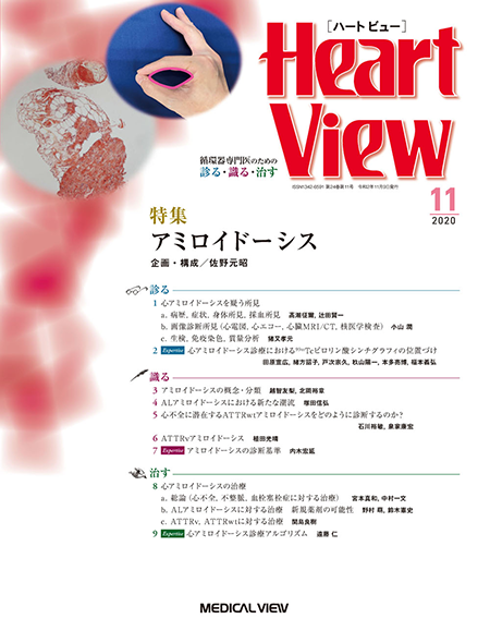 Heart View 2020年11月号 Vol.24 No.11 アミロイドーシス